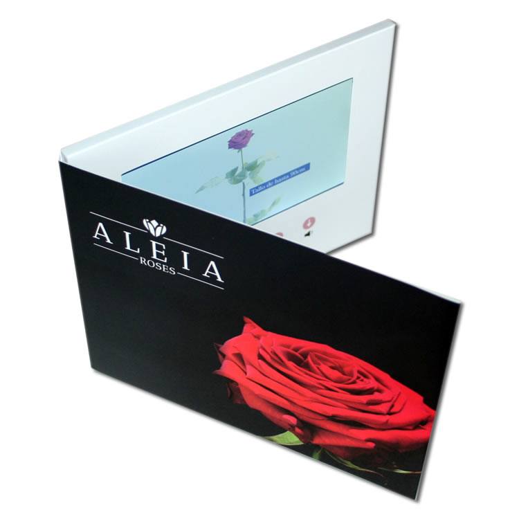Videotarjeta Aleia